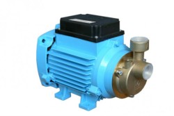 Pumps with peripheral impeller BVN 0.32-35